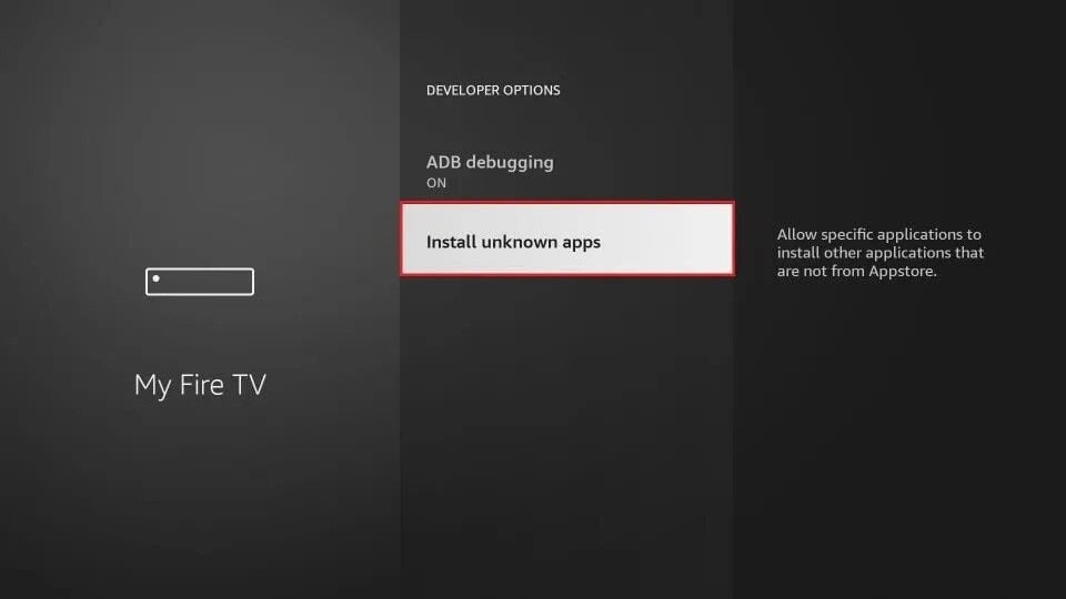 Developer Options screen with Install Unknown Apps highlighted